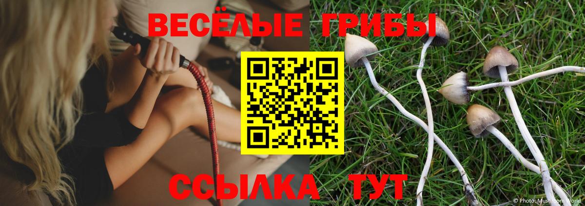 COCAIN  Метамфетамин  Мефедрон   Брянск  Alpha-PVP СК кристаллы  Конопля  Вход с VPN  ГАШИШ  Экстази 