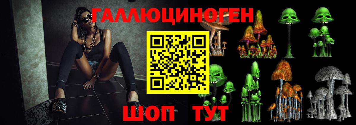 купить наркотик  Псилоцибиновые грибы Cubensis  Вход с VPN  Брянск  Псилоцибиновые грибы MAGIC MUSHROOMS 