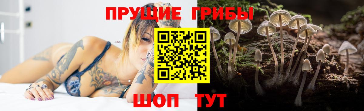 Галлюциногенные грибы ЛСД Брянск
