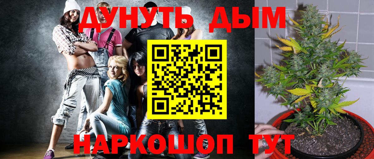 Марихуана ГИДРОПОН  Марихуана Ganja  Вход с VPN  Канабис гибрид  Брянск 